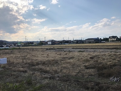 物件No.3590-1