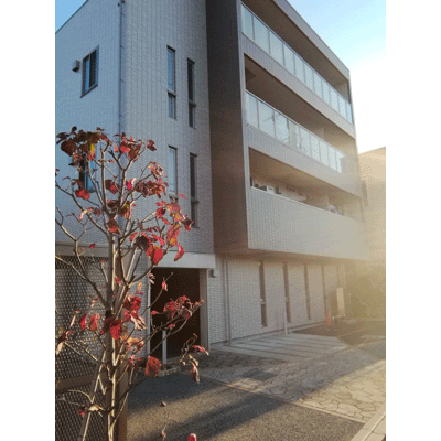 物件No.4163-1